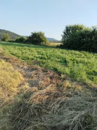 Plac — Žunje — fotografija 3
