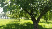 Kuća — Stanci — fotografija 8