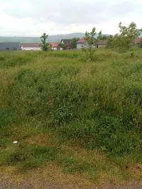 Plac — Lipnička — fotografija 1