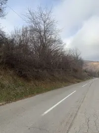 Plac — Brzeće — fotografija 4