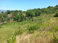 Plac — Miladina Popovića — fotografija 5