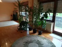 Više od tri spavaće sobe stan — Bagremova — fotografija 1
