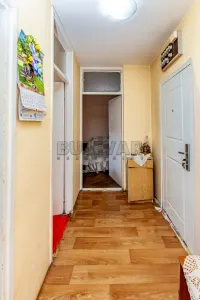 Jednoiposoban stan — Bulevar dr Zorana — fotografija 5