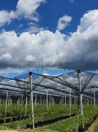 Kuća — Lužnice — fotografija 5