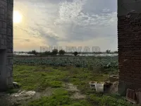 Kuća — Novo selo — fotografija 13
