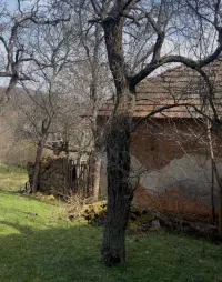 Kuća — Gornji Barbeš — fotografija 4