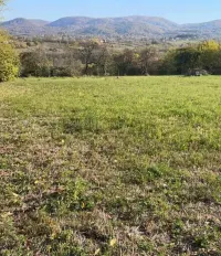 Plac — Guncati — fotografija 4