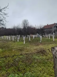 Plac — Levačka — fotografija 3