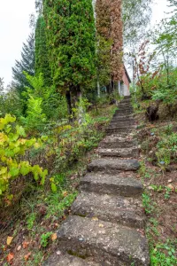 Kuća — Ostrovica — fotografija 10
