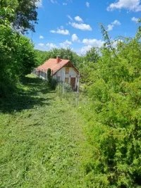 Kuća — Veliki Drenovac — fotografija 13