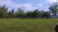Plac — Žunje — fotografija 5