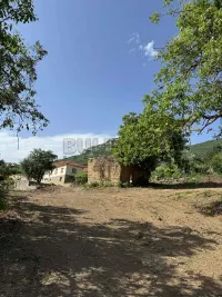 Plac — Sićevo — fotografija 2