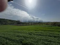 Kuća — Gornja Trnava — fotografija 8