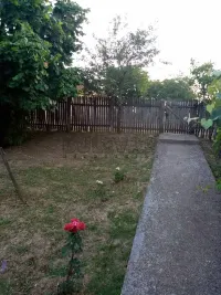 Plac — Borci — fotografija 18