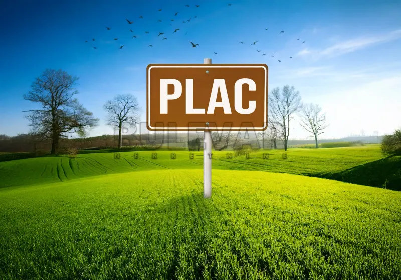 Plac, Korman, Kragujevac