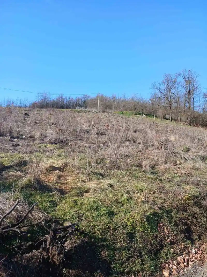 Plac, Žunje, Knić