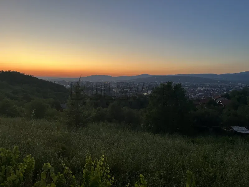 Plac, Trošarina, Niš, Miladina Popovića