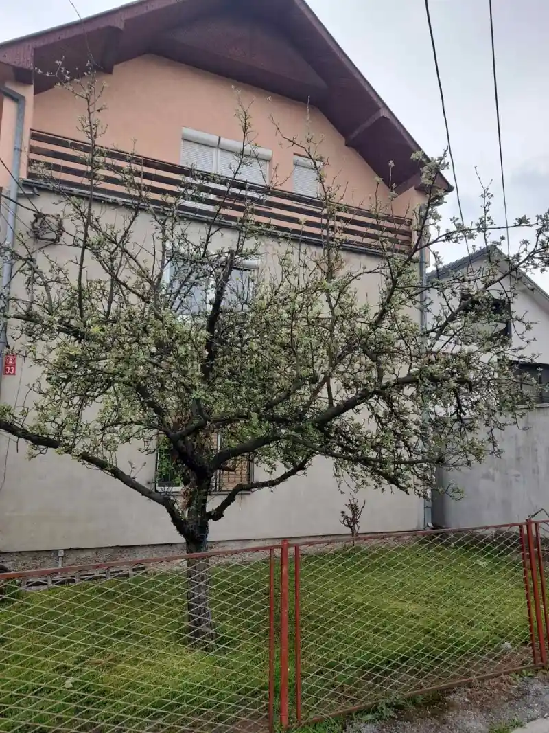 Troiposoban stan, Bresnica, Kragujevac