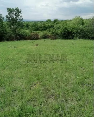 Plac, Donje Vlase, Niš, Donje Vlase