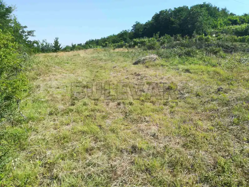 Plac, Donje Vlase, Niš