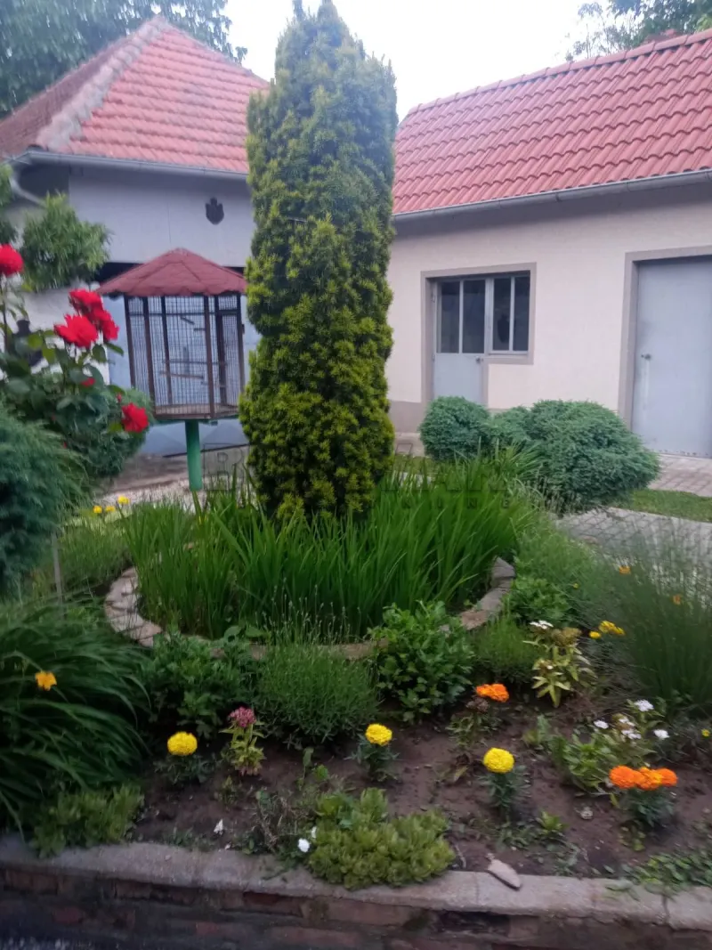 Kuća, Centar, Velika Plana