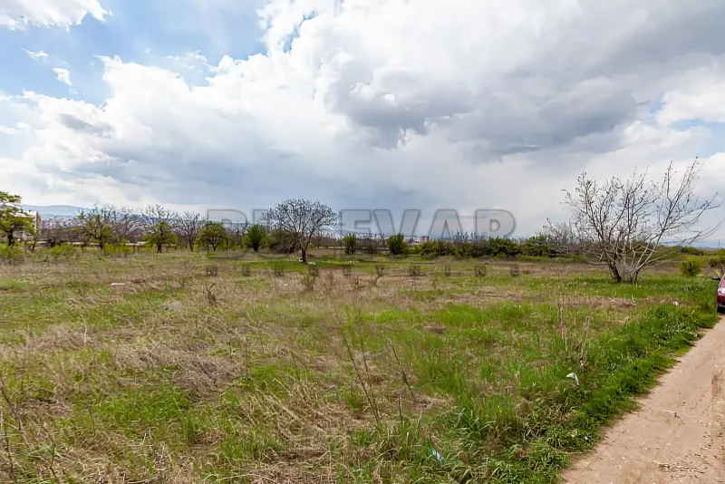 Plac, Pantelej(Niš), Niš, Petra Božovića