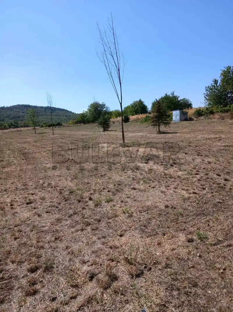 Plac, Vinik, Niš, Градска општина Пантелеј