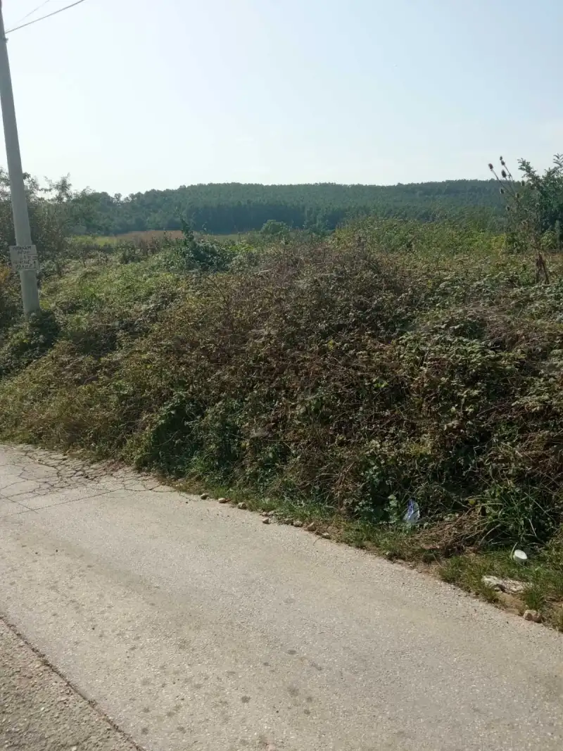 Plac, Korićani, Kragujevac