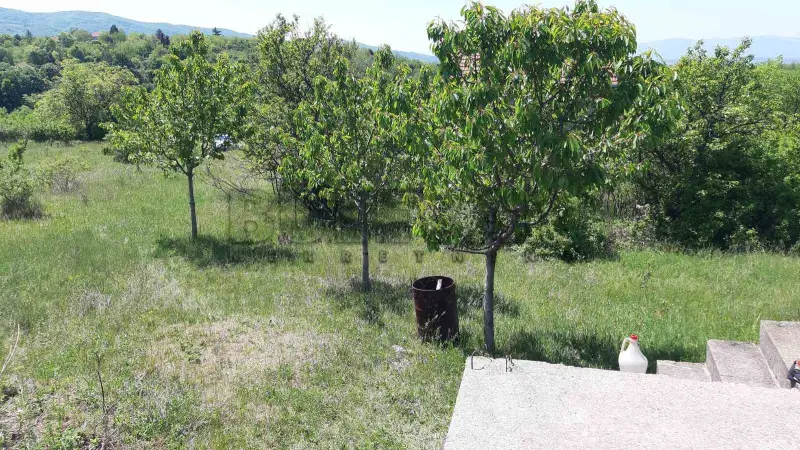 Plac, Donje Vlase, Niš