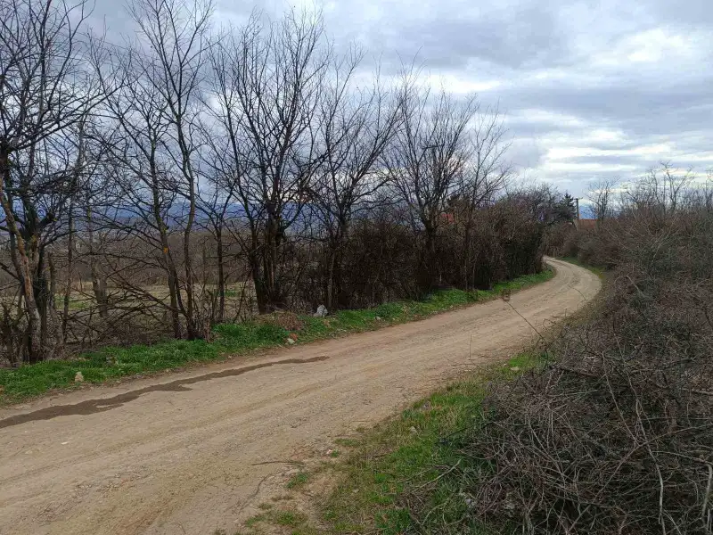 Plac, Hisar, Leskovac