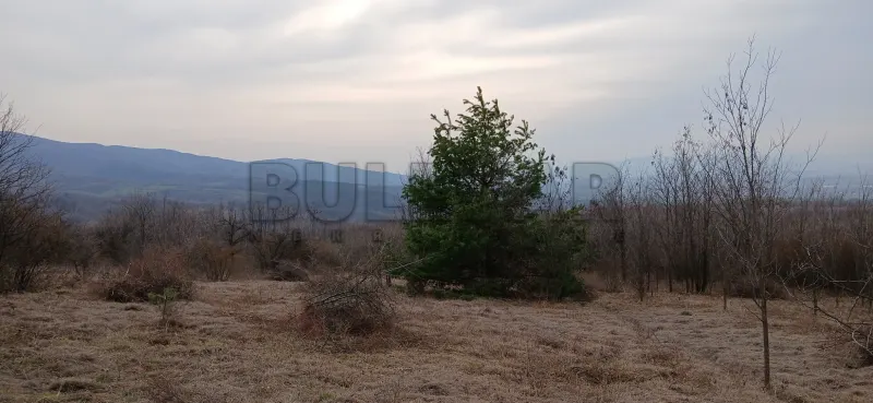 Plac, Donje Vlase, Niš