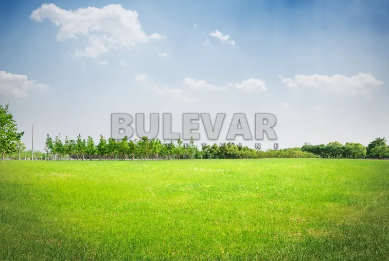 Plac, Lalinac, Niš