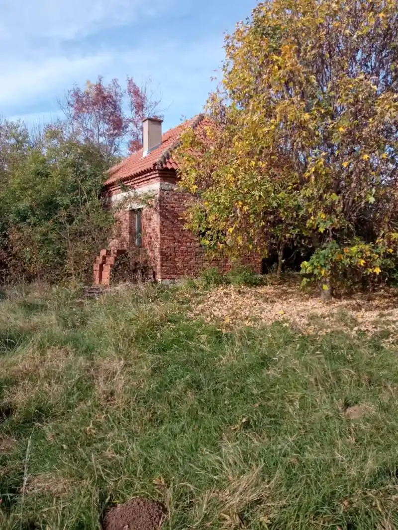 Plac, Centar, Rača