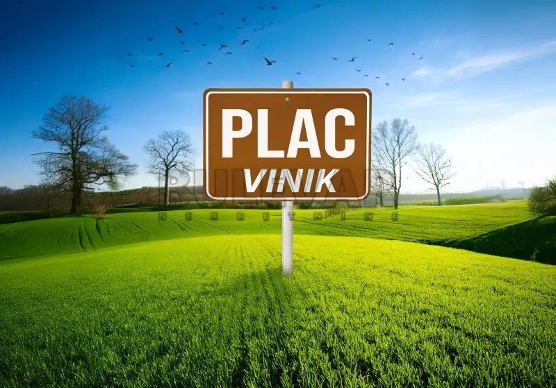 Plac, Vinik, Niš, Borska
