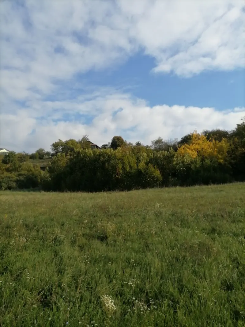 Plac, Dobrilovac, Sremski Karlovci
