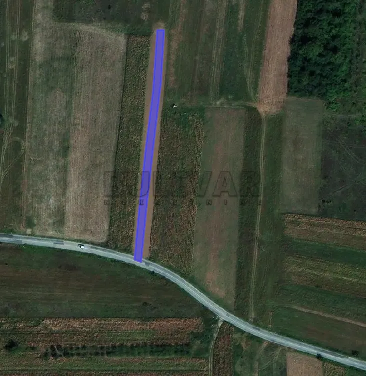 Plac, Medoševac, Niš