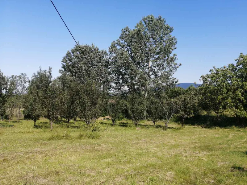 Plac, Ribarska Banja, Ribarska banja