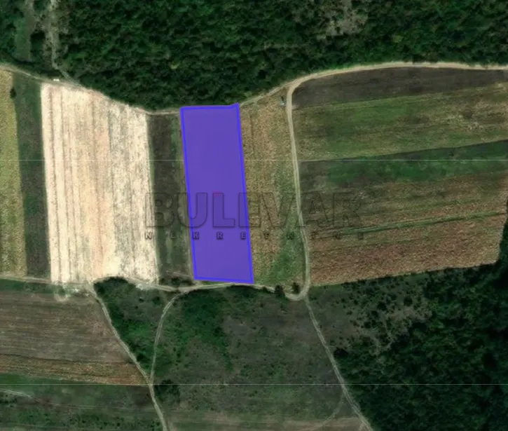 Plac, Komren, Niš