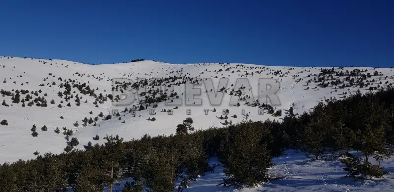 Plac, Čigota, Zlatibor