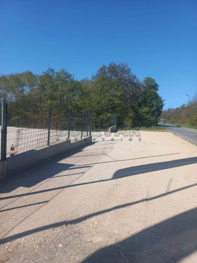 Plac, Pasi poljana, Niš