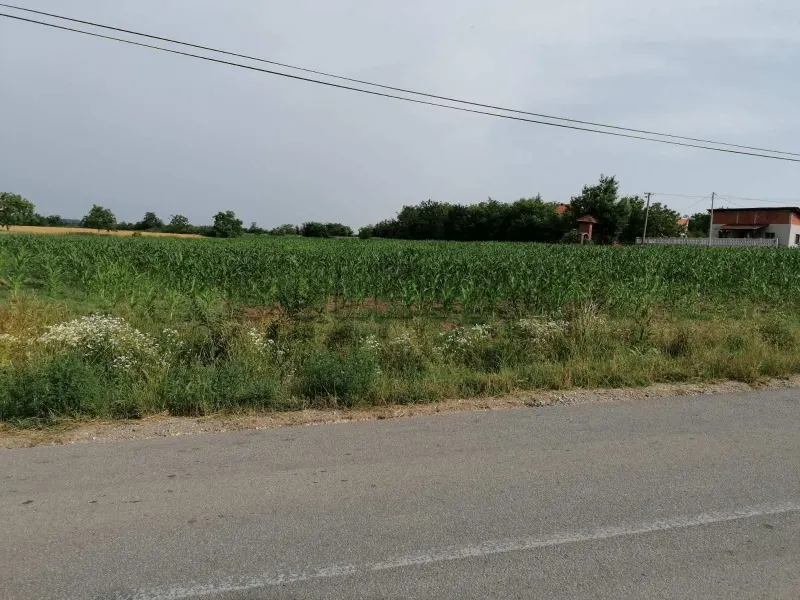 Plac, Batočina, Batočina