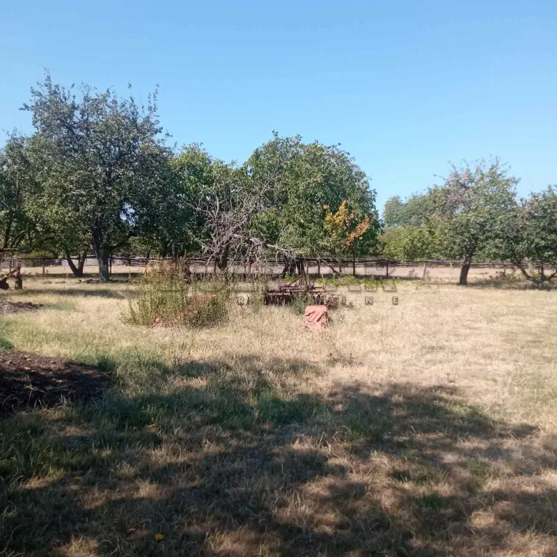 Plac, Centar, Rača