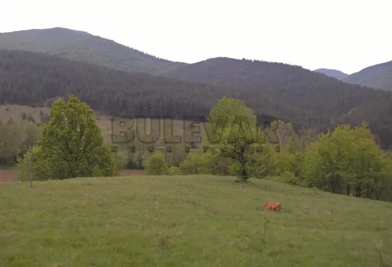 Plac, Vrnjačka banja, Vrnjačka banja