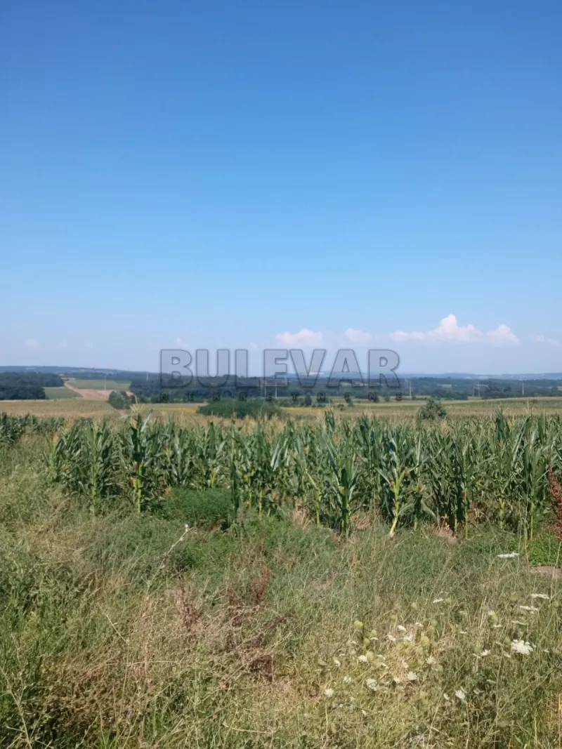 Plac, Centar, Rača