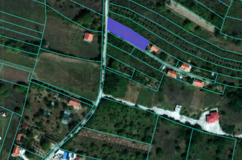 Plac, Vinik, Niš, Podvinička